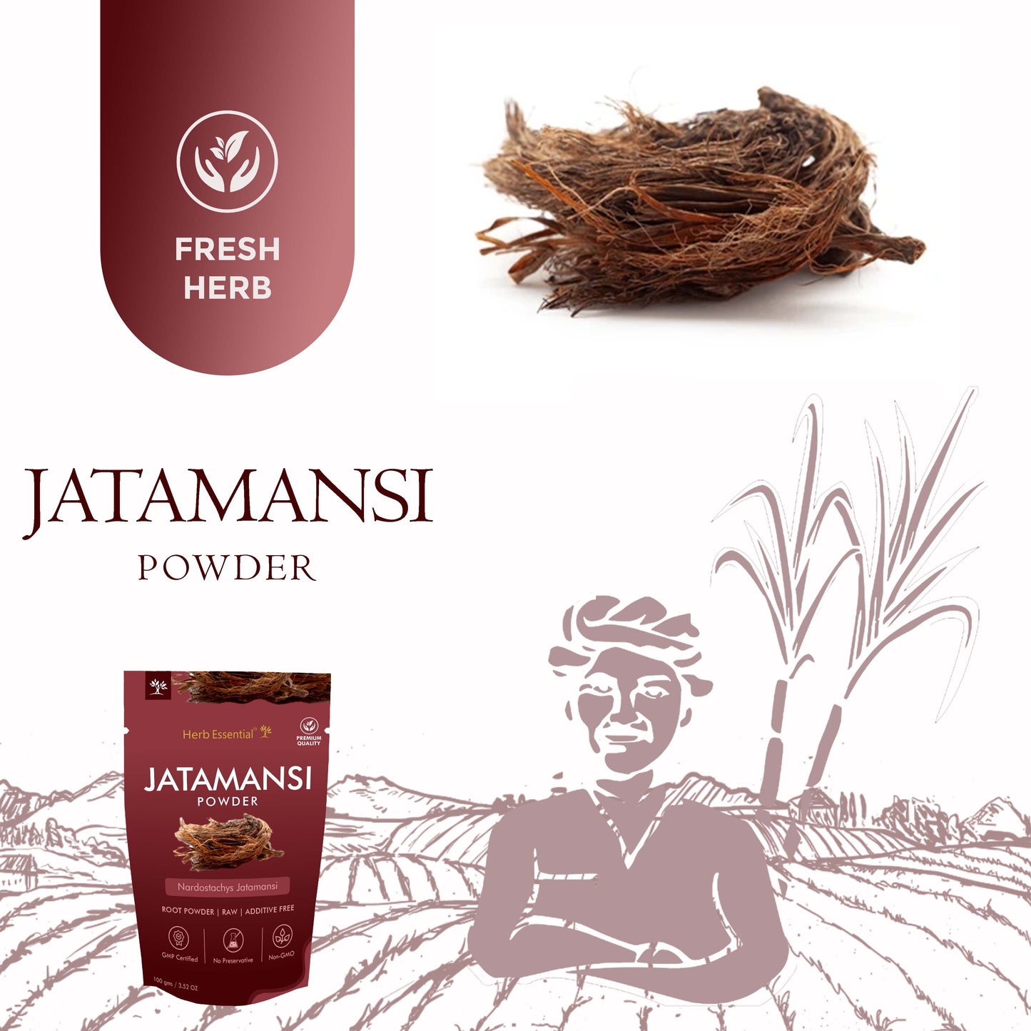 Jatamansi Root Powder-100g