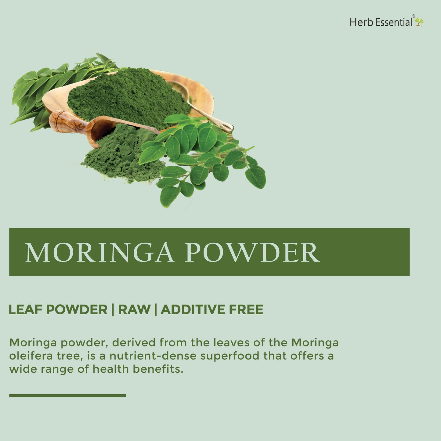 Moringa ( Moringa oleifera ) Powder - 100gm