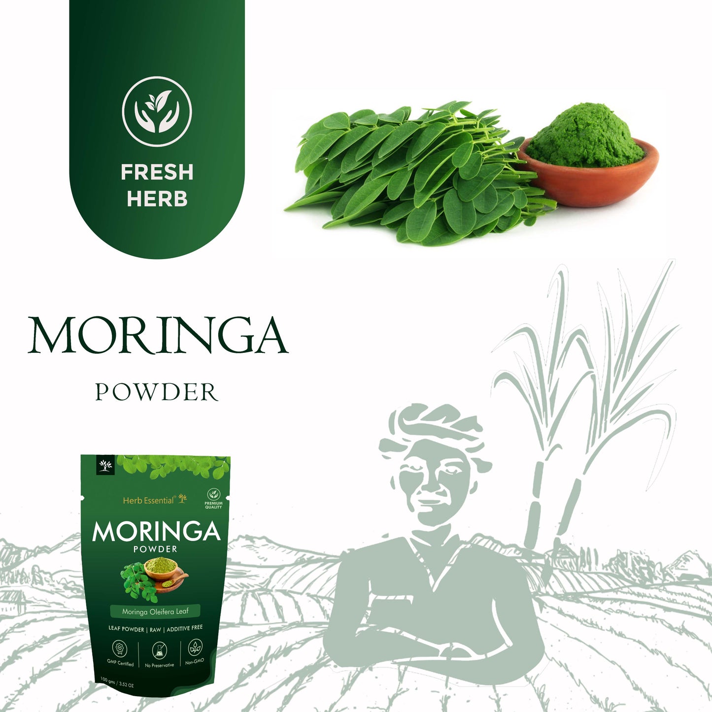 Moringa ( Moringa oleifera ) Powder - 100gm