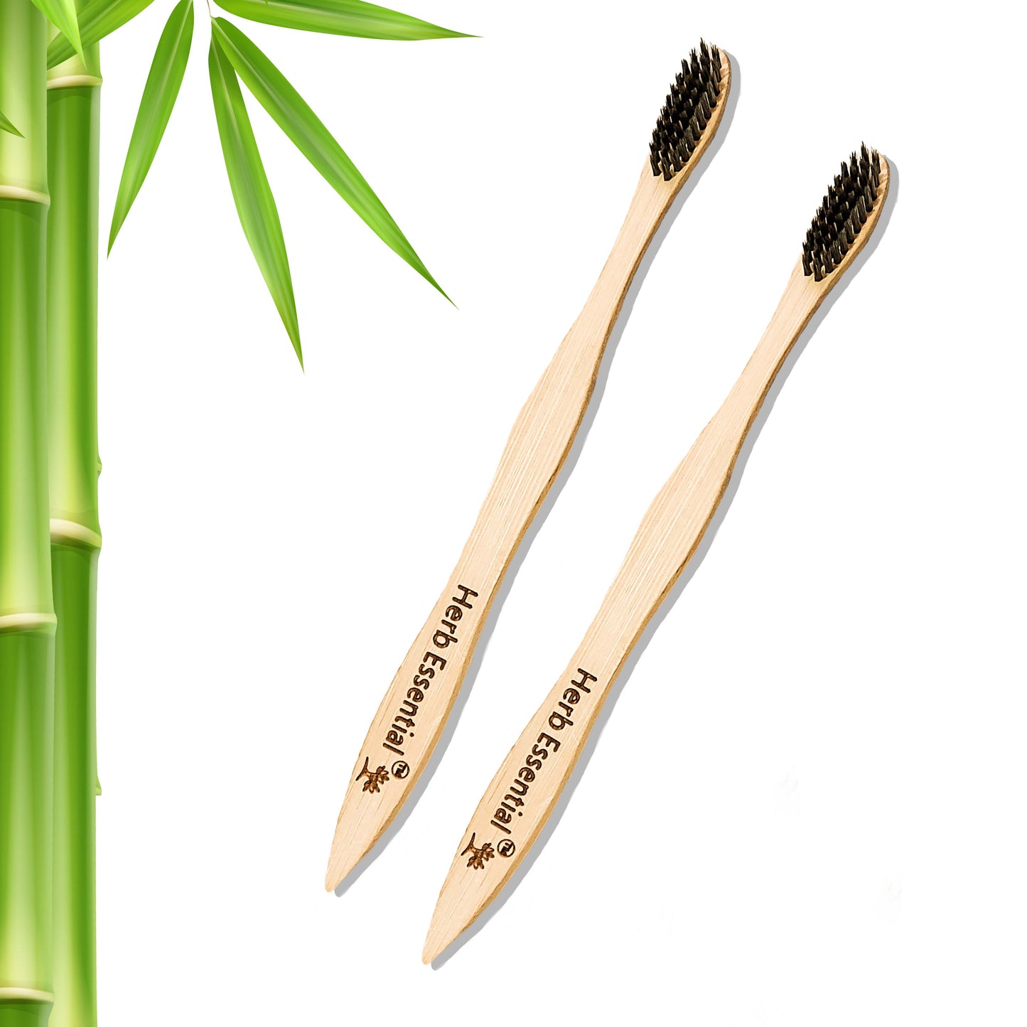 Bamboo Toothbrush, Pack of 2