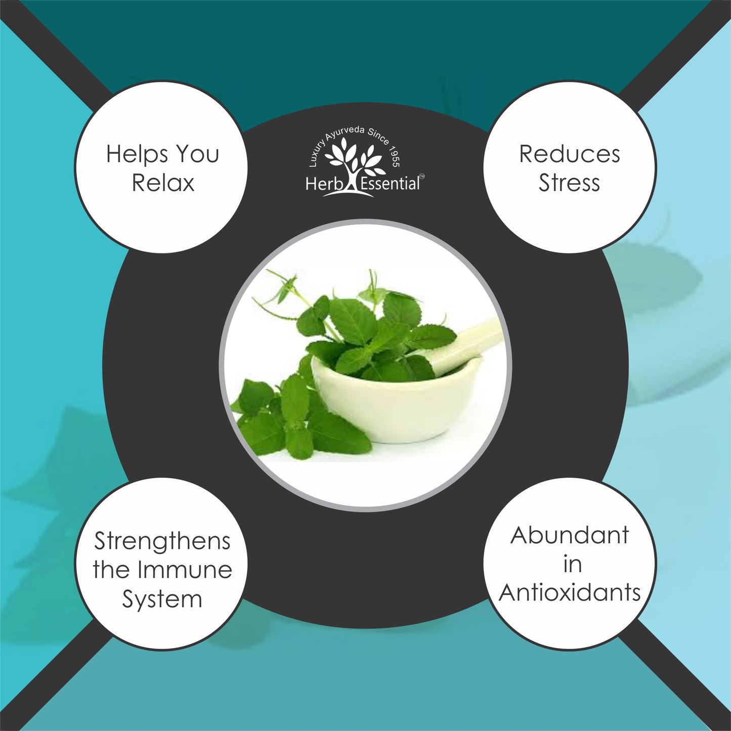 Tulsi ( Ocimum Sanctum / Holy Basil ) Powder - 50gm