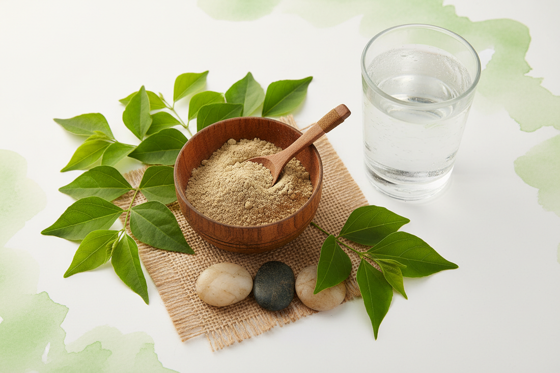 Gudmar Powder: The Ancient "Sugar Destroyer" That Modern Science Backs