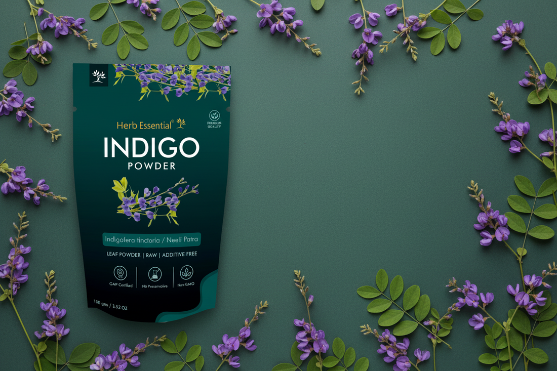 Indigo Powder - A  Complete Hair Care Guide