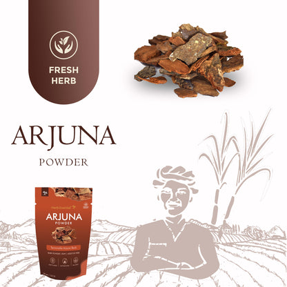 Arjuna (Terminalia Arjuna) Powder 100g