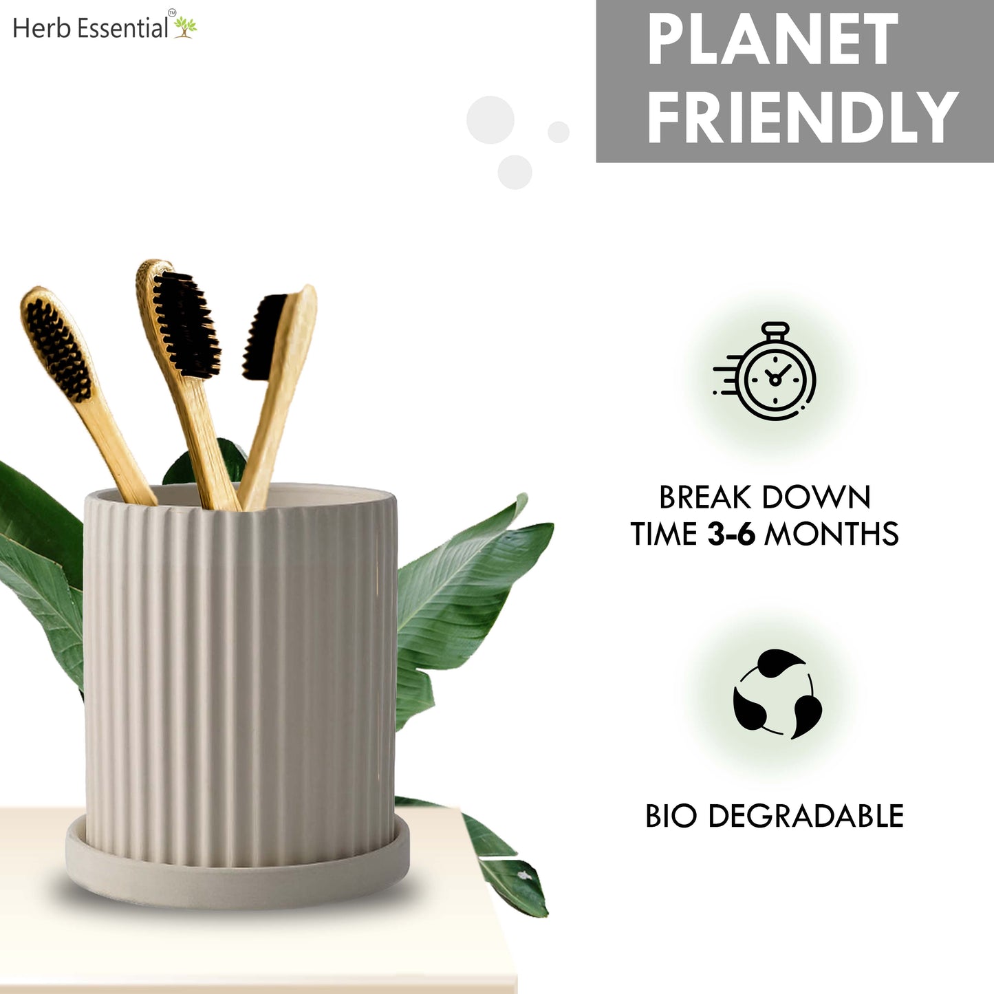 Herb Essential Bamboo Toothbrush, Pack of 4