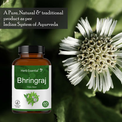 Bhringraj Tablets 500mg – 60 Tabs