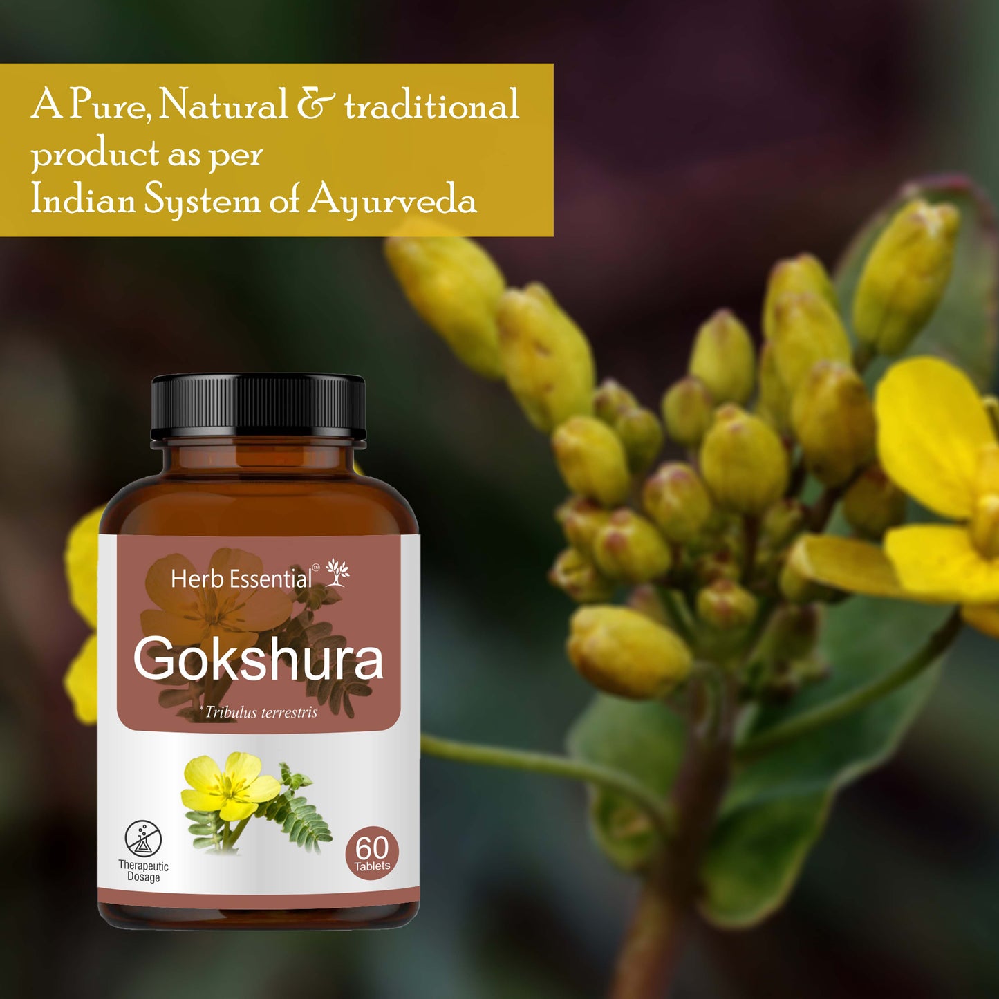 Gokshura Tablets 500mg – 60 Tabs