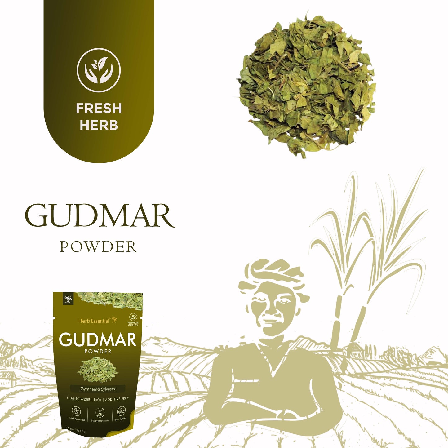 Herb Essential Gudmar Leaf Powder 100g