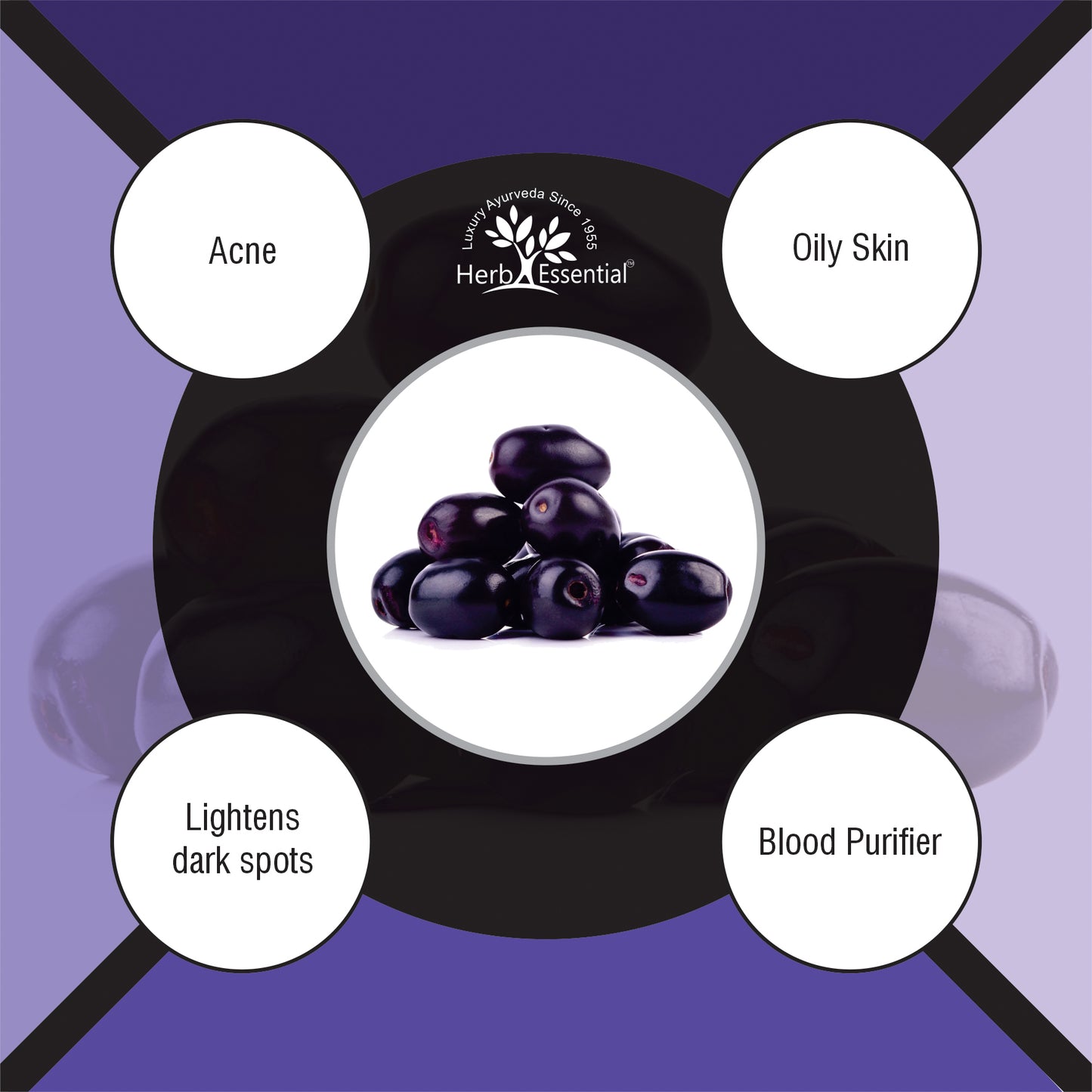 Jamun (Syzygium Cumini)