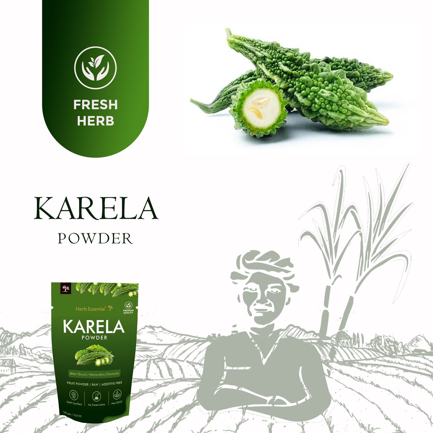 Karela (Momordica Charantia/ Bitter Gourd Powder)