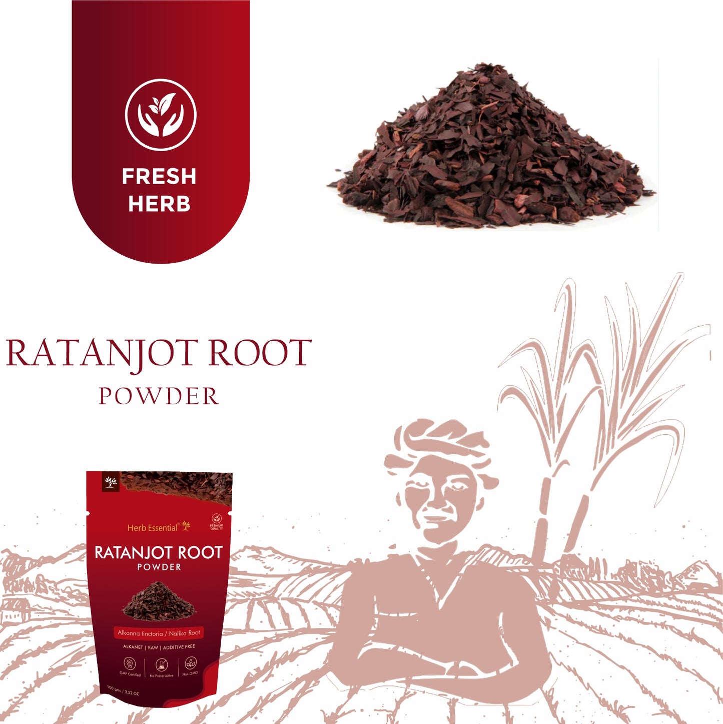 Ratanjot Powder (Alkanna tinctoria) 100g