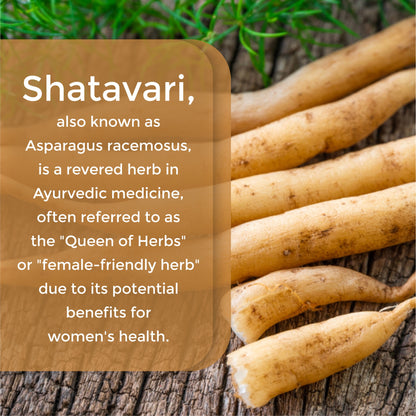 Shatavari Root , 100 g