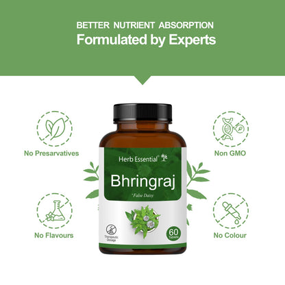 Bhringraj Tablets 500mg – 60 Tabs