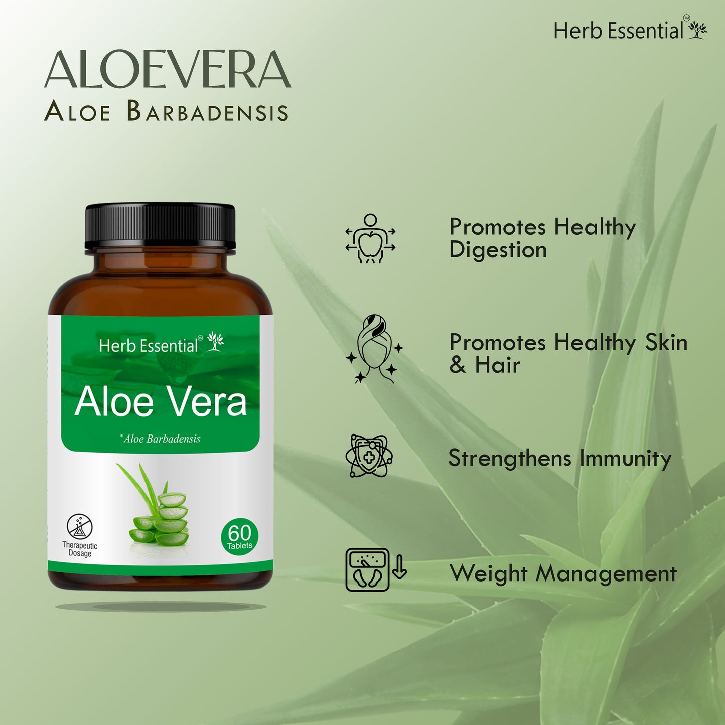 Aloevera Tablets 500mg – 60 Tabs