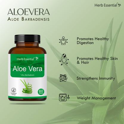 Aloevera Tablets 500mg – 60 Tabs