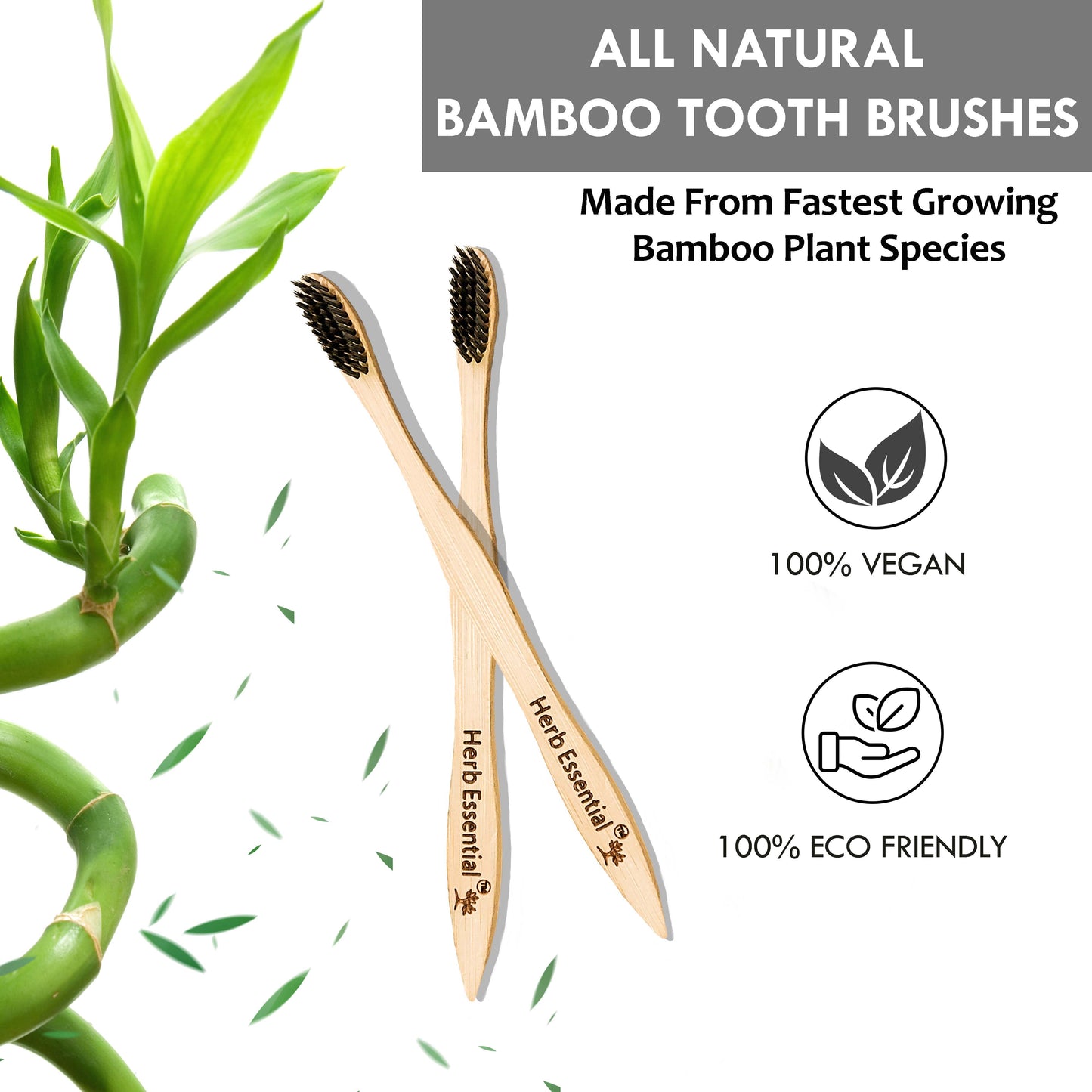 Herb Essential Bamboo Toothbrush, Pack of 2