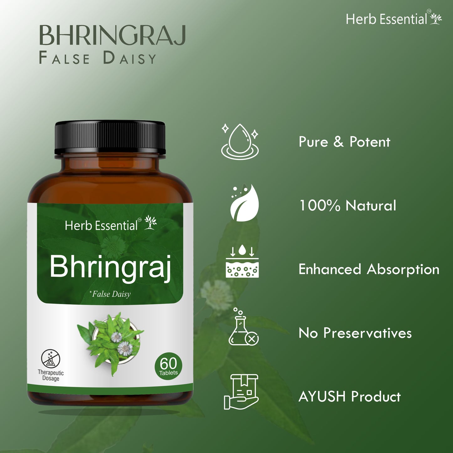 Bhringraj Tablets 500mg – 60 Tabs