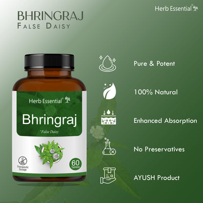 Bhringraj Tablets 500mg – 60 Tabs