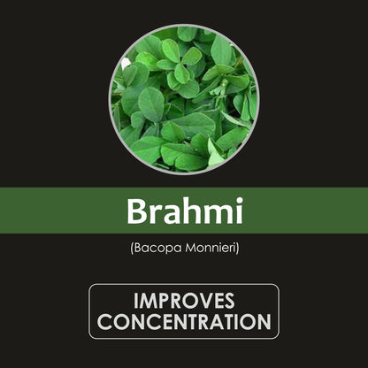 Organic Brahmi (Bacopa monnieri) Powder 227g | Memory Care, NO Preservative added