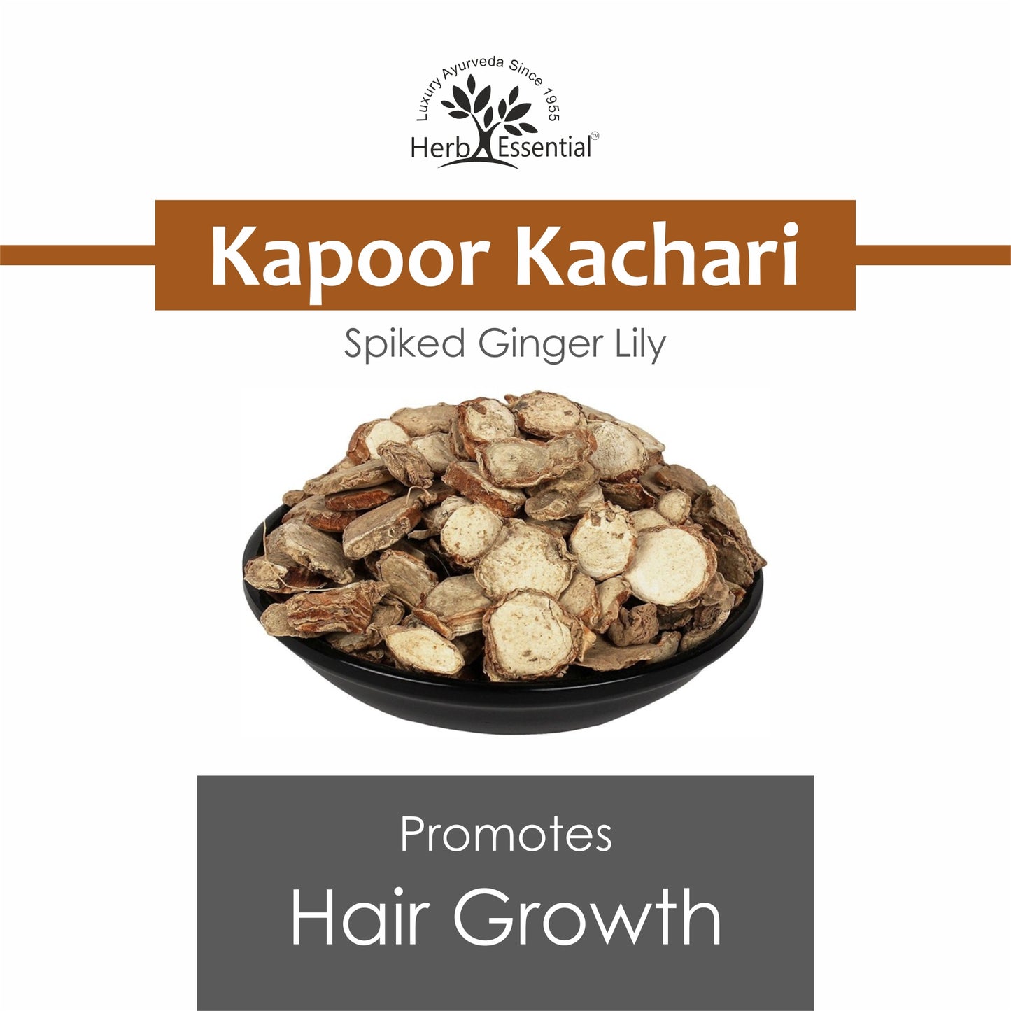 Kapoor Kachari (Hedychium spicatum) Powder
