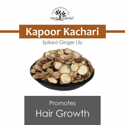 Kapoor Kachari (Hedychium spicatum) Powder