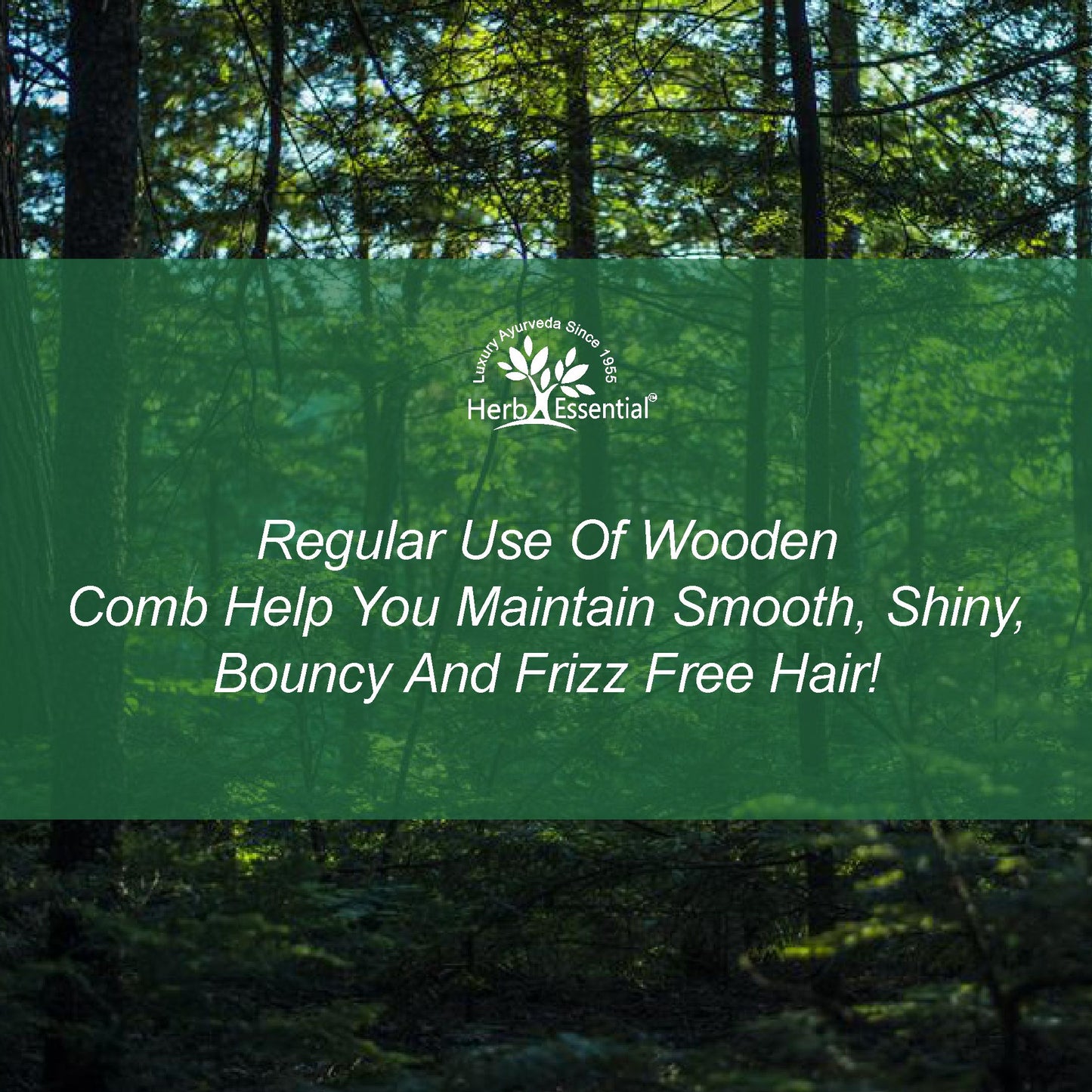 Wooden Comb ( M - I )