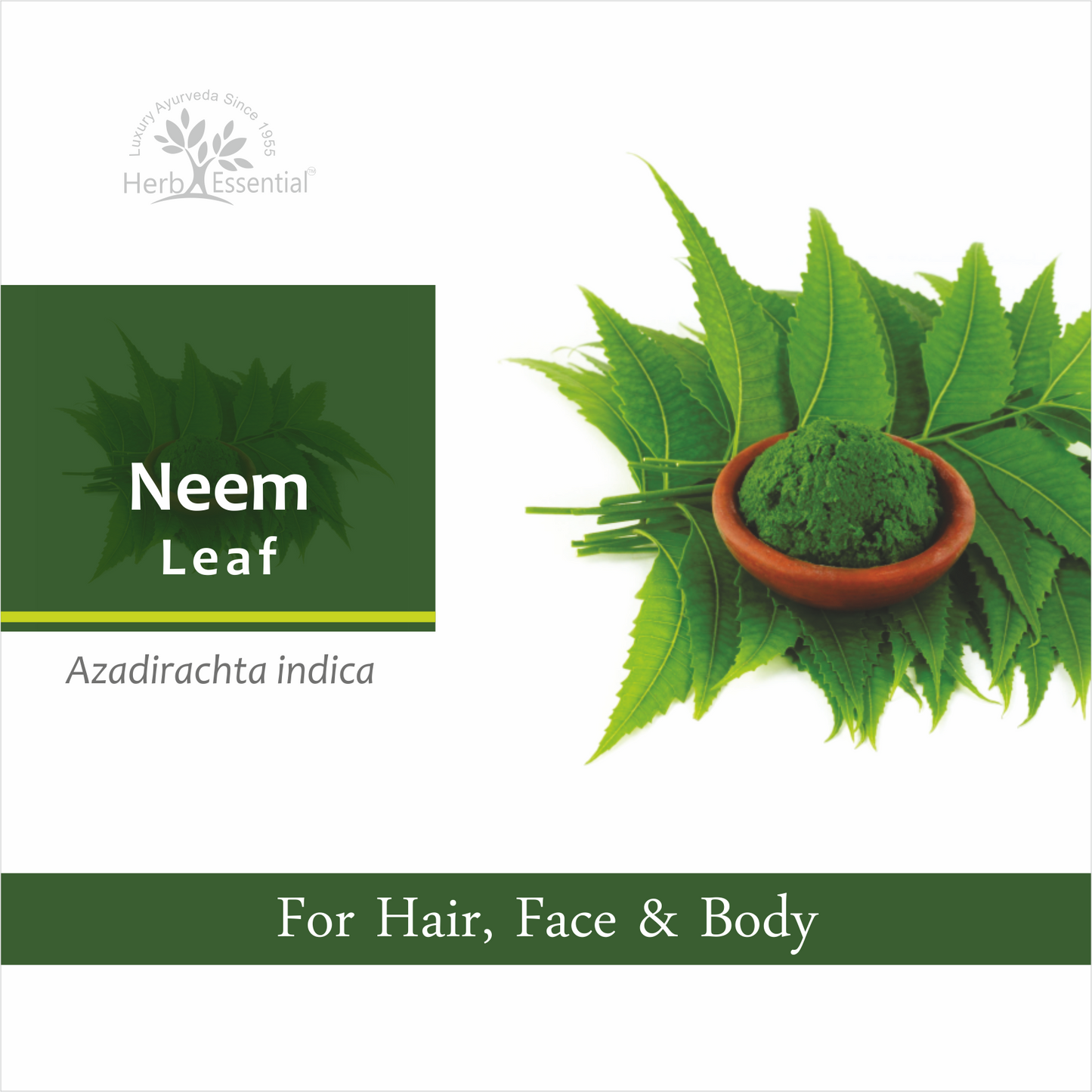 Neem (Azadirachta Indica) Leaves Powder